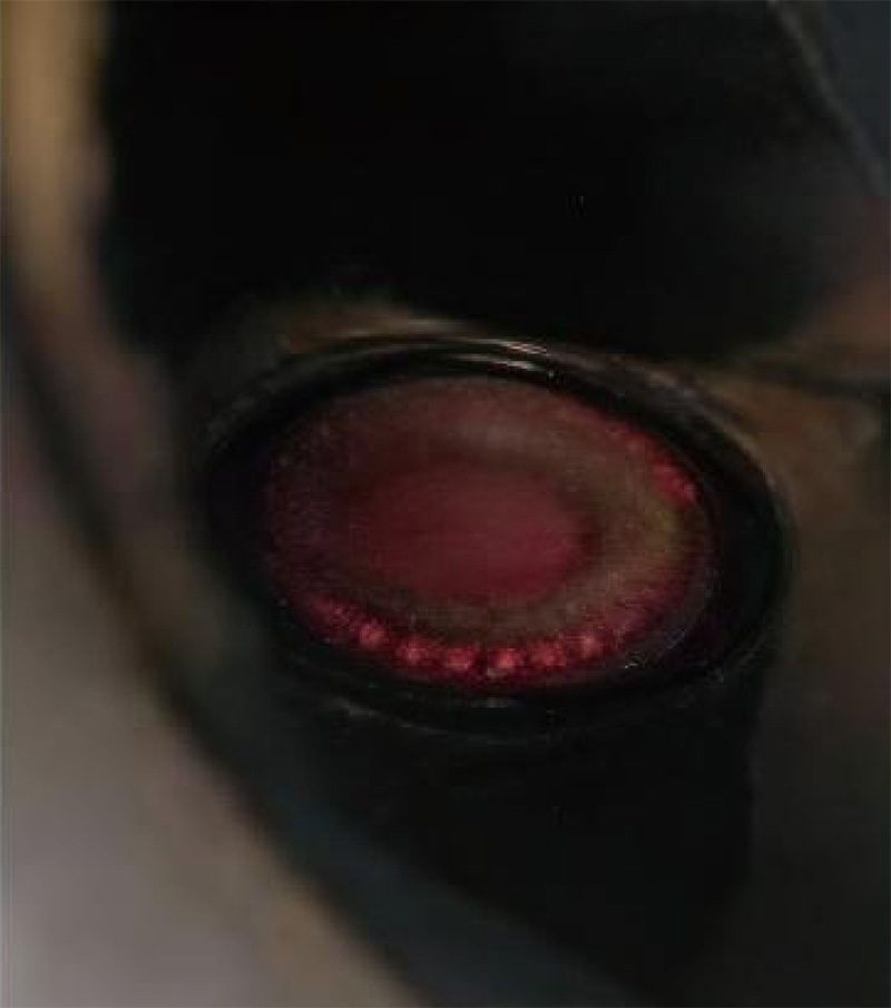 加热中的蒸发源